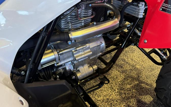 2026 Honda TRX250X