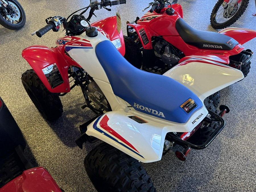 2026 Honda TRX250X