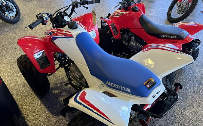 2026 Honda TRX250X