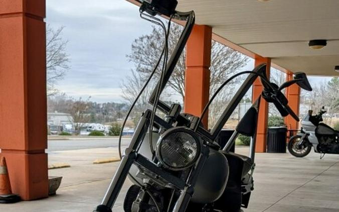 FXST 2004 Softail Standard