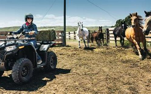 2026 CFMOTO CForce 400