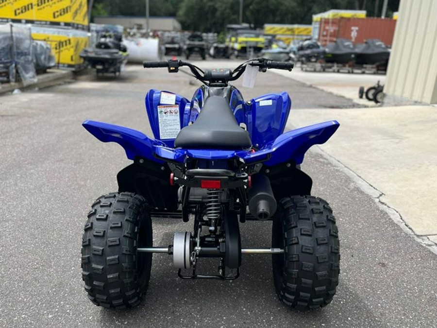 2025 Yamaha Raptor 110