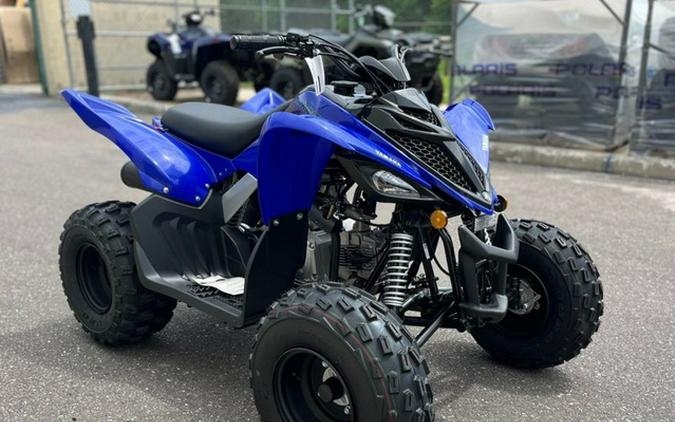 2025 Yamaha Raptor 110