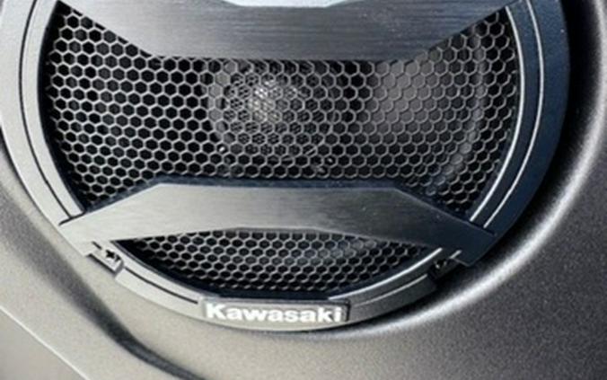 2026 Kawasaki Teryx Krx4 1000 Blackout Edition