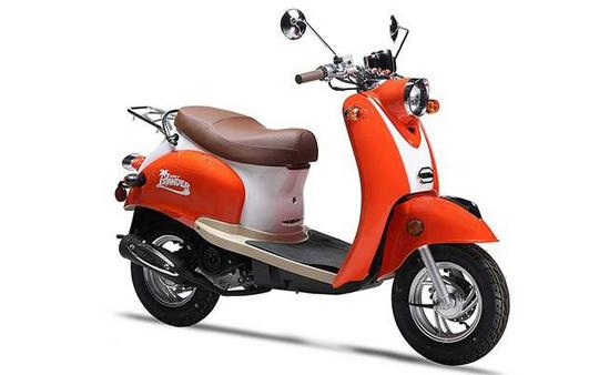 2025 ISLANDER - Wolf Brand Scooters