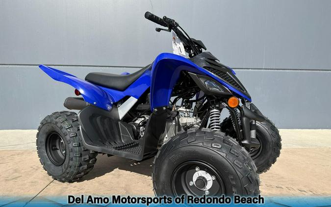 2025 Yamaha RAPTOR 110