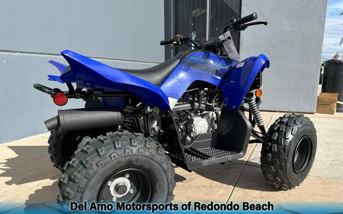 2025 Yamaha RAPTOR 110