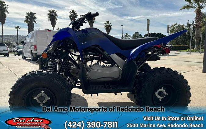 2025 Yamaha RAPTOR 110