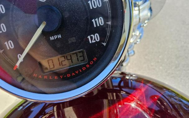 2015 Harley-Davidson 1200 Custom