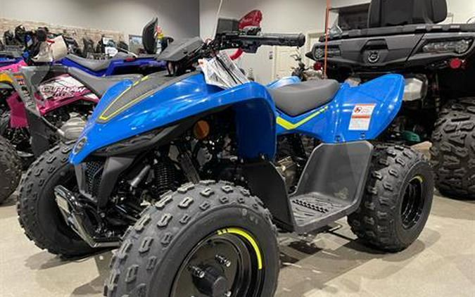 2023 CFMOTO CForce 110