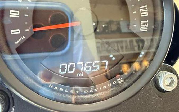 2025 Harley-Davidson Low Rider® S