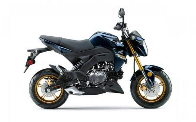 2023 Kawasaki Z125 PRO Base