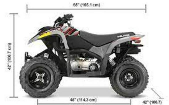 2024 Polaris Phoenix 200