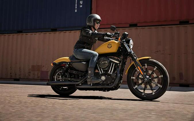 2019 Harley-Davidson Iron 883