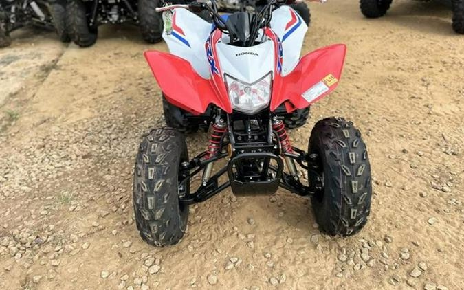 2026 Honda TRX 250X
