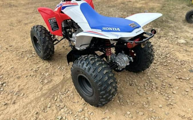 2026 Honda TRX 250X