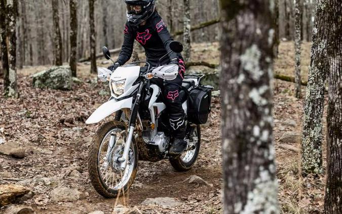 2023 Honda XR150L Review [11 Fast Facts: Street and Dirt]