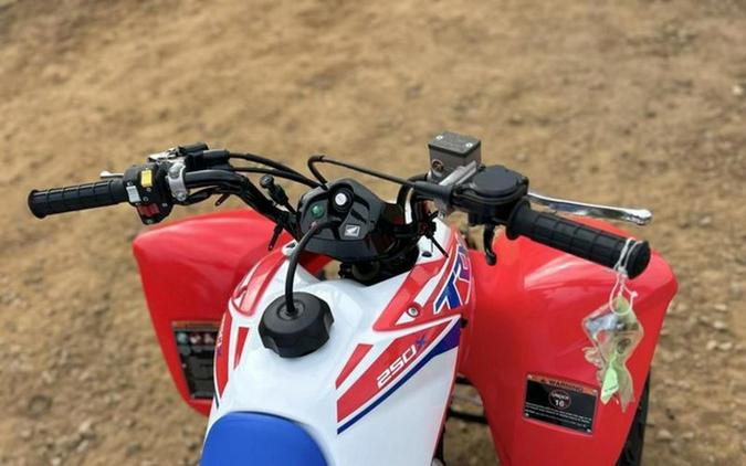 2026 Honda TRX 250X