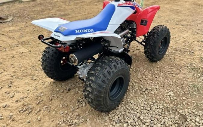2026 Honda TRX 250X