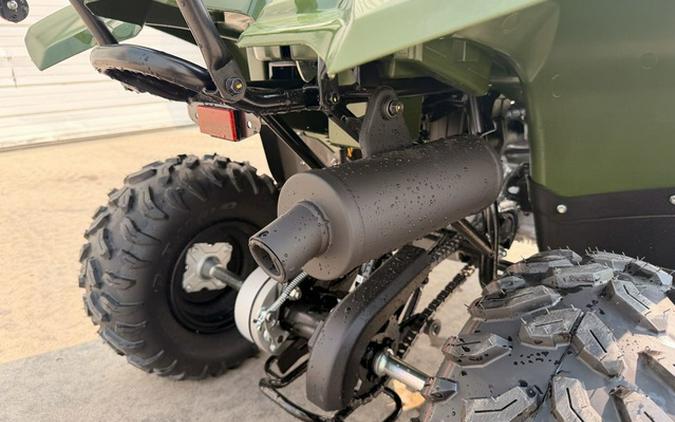 2026 Yamaha Grizzly 110