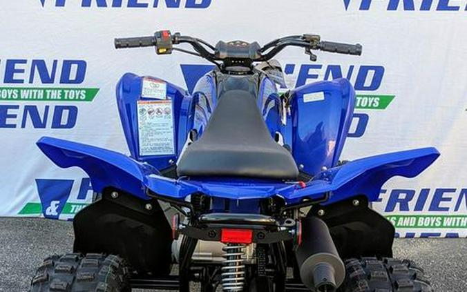 2024 Yamaha Raptor 110