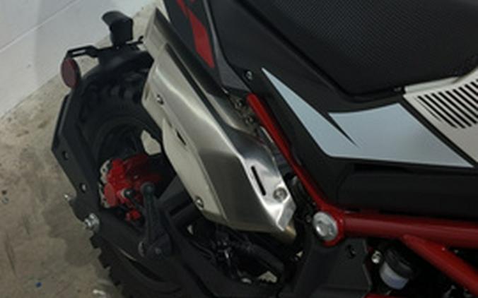 2022 Benelli Benelli TNT 135