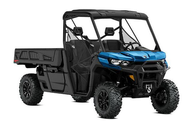 2022 Can-Am Defender Pro XT HD10