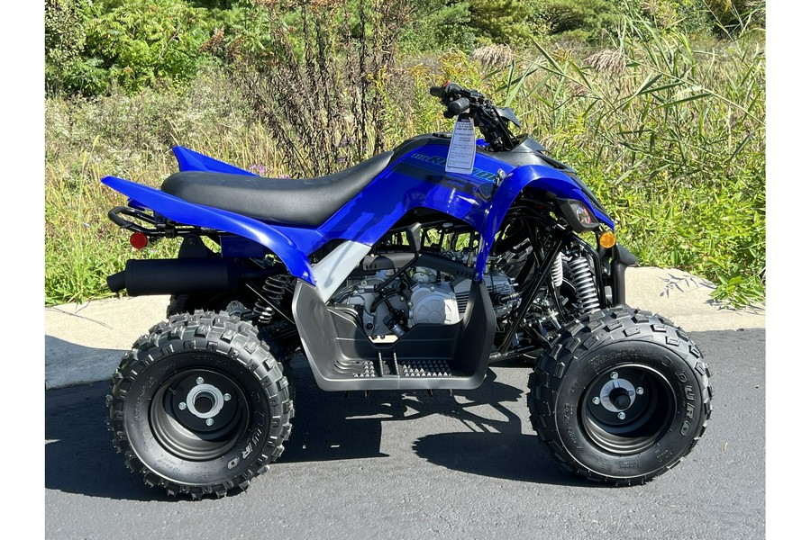 2025 Yamaha Raptor 110 YFM01RYXSL