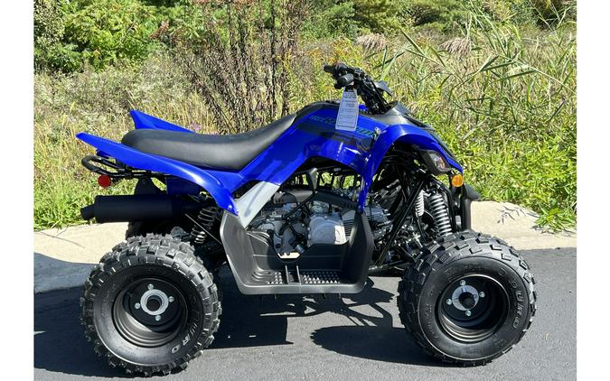 2025 Yamaha Raptor 110 YFM01RYXSL