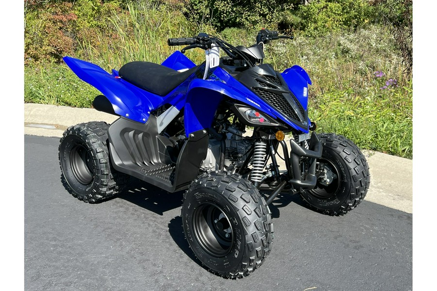 2025 Yamaha Raptor 110 YFM01RYXSL