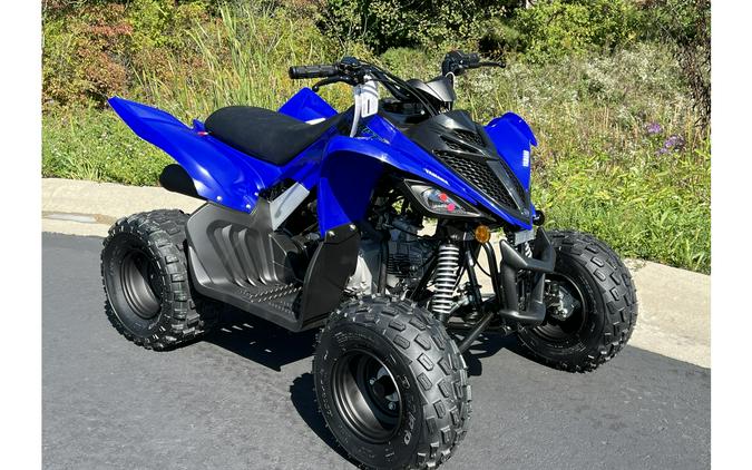 2025 Yamaha Raptor 110 YFM01RYXSL