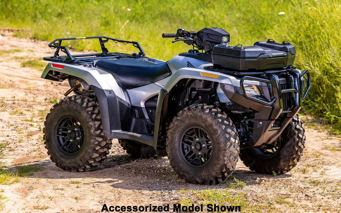 2025 Honda FourTrax Rubicon 700 4x4 Automatic
