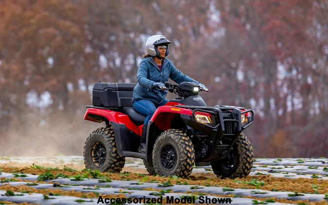 2025 Honda FourTrax Rubicon 700 4x4 Automatic