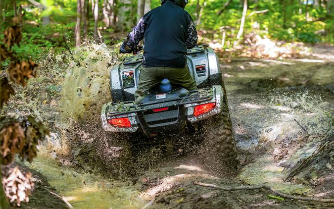 2025 Honda FourTrax Rubicon 700 4x4 Automatic