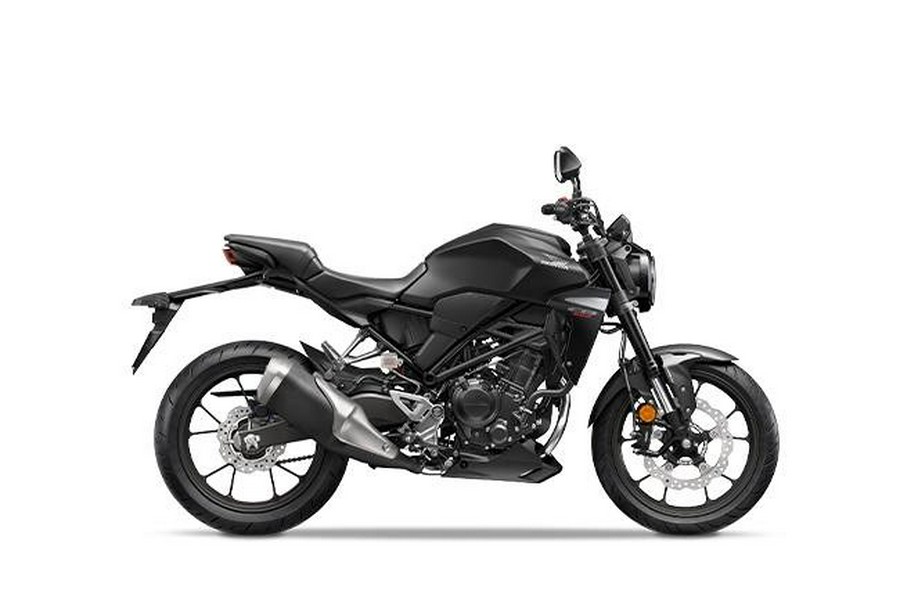 2024 Honda CB300RAR