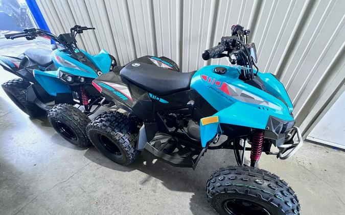 2024 Can-Am® Renegade 110 EFI