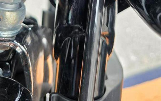 2025 Harley-Davidson Road Glide®