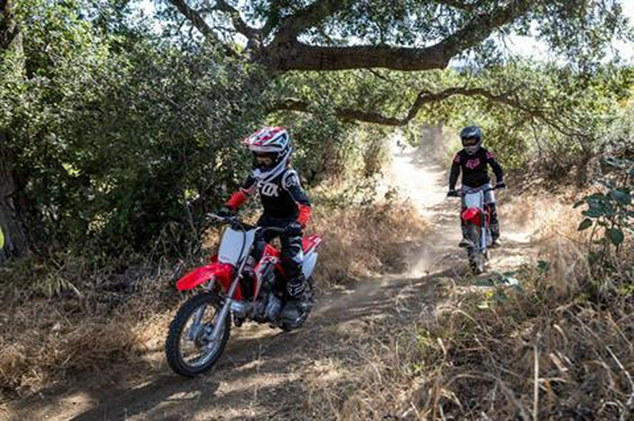 2022 Honda CRF110F