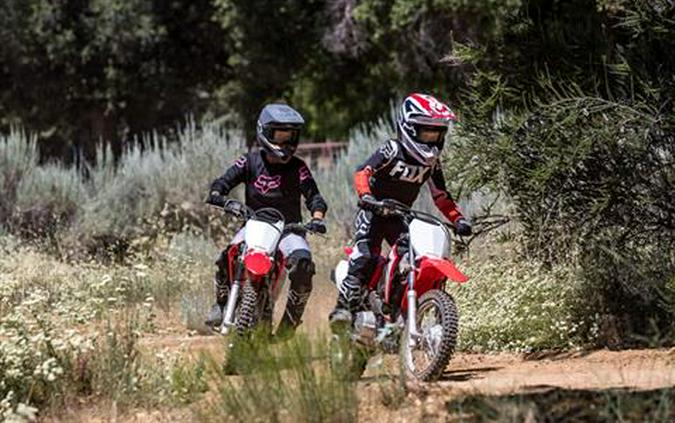 2022 Honda CRF110F