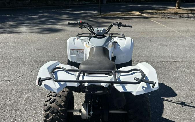 2024 Yamaha Grizzly 90