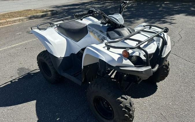 2024 Yamaha Grizzly 90