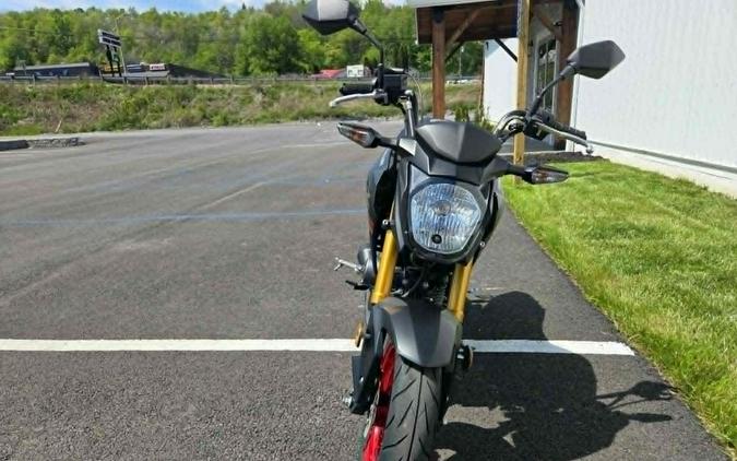 2021 Kawasaki Z125 PRO
