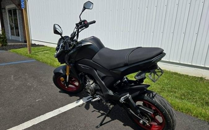 2021 Kawasaki Z125 PRO