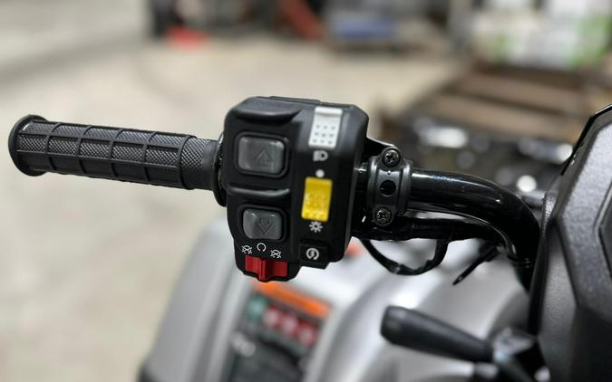 2026 Honda FourTrax Rubicon 700 4x4 Automatic