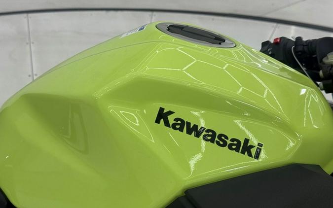 2026 Kawasaki Ninja 500 ABS Metallic Yellowish GreenEbony