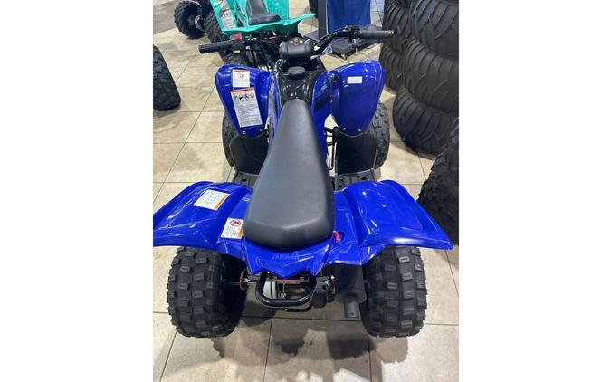 2024 Yamaha Raptor 110