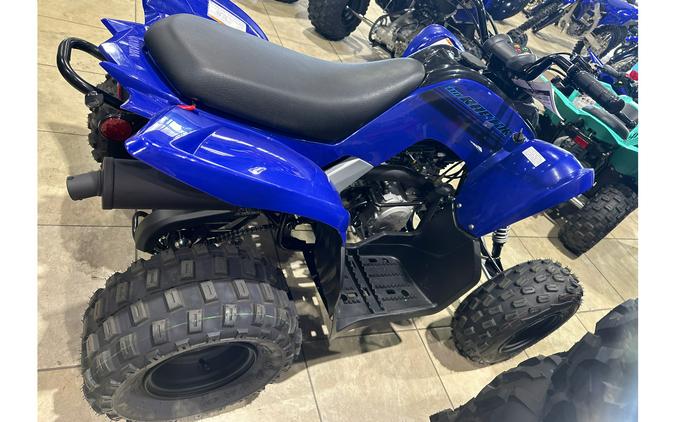 2024 Yamaha RAPTOR 110