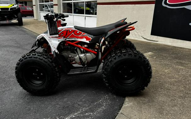2025 Kayo Predator 125