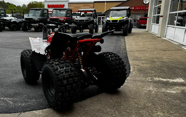 2025 Kayo Predator 125