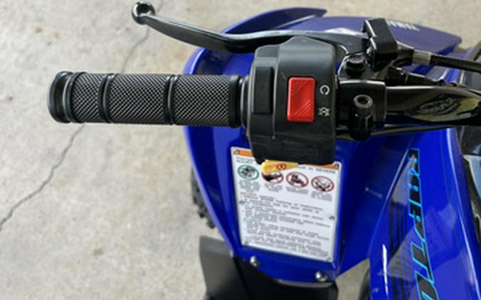 2025 Yamaha Raptor 110